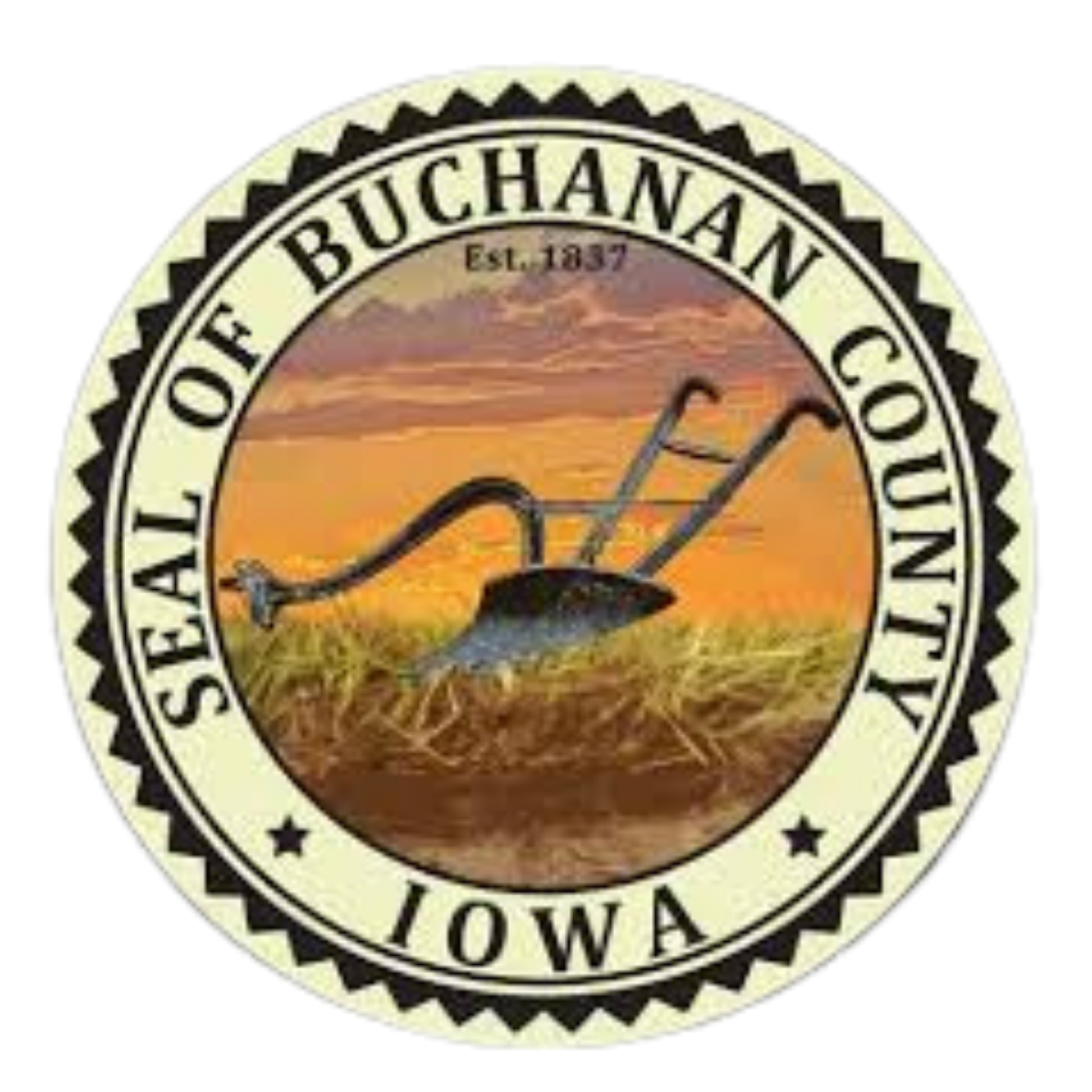 Untitled design (12)